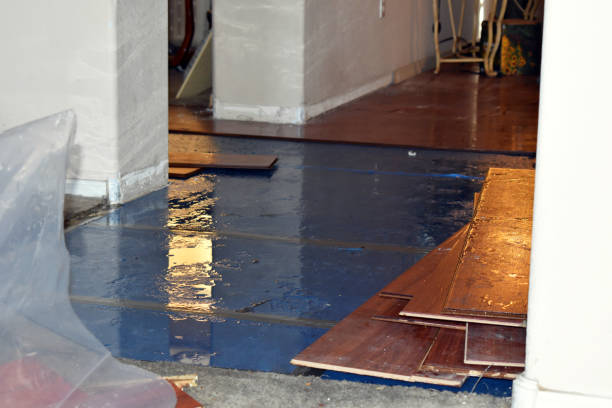 Professional Basement Flood Cleanup technician working in Eagle Lake, WI